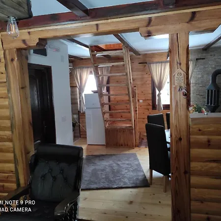 Tijana Daire Mitrovac