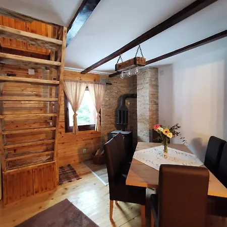 Tijana Daire Mitrovac