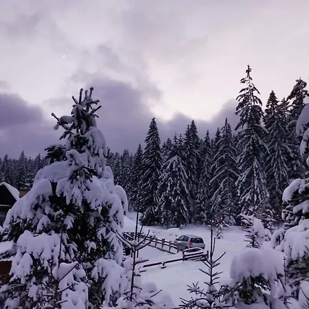 Daire Tijana Mitrovac