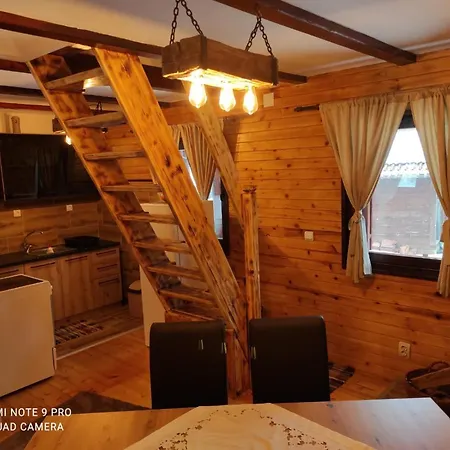 Tijana Daire Mitrovac