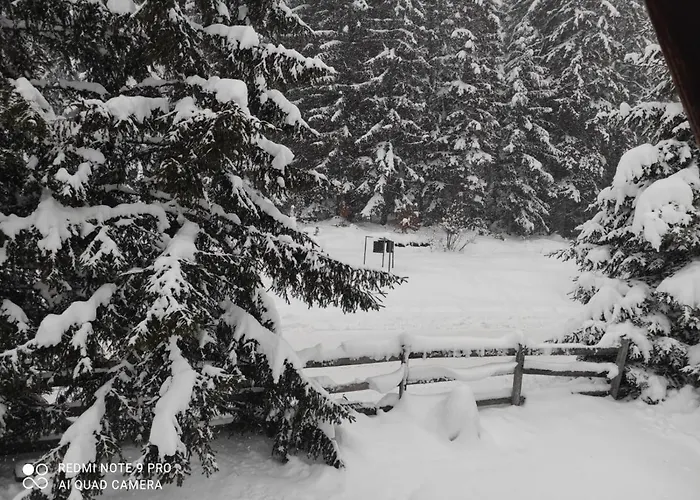 Apartment Tijana Mitrovac