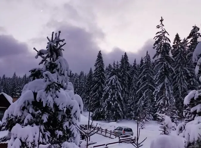 Apartment Tijana Mitrovac